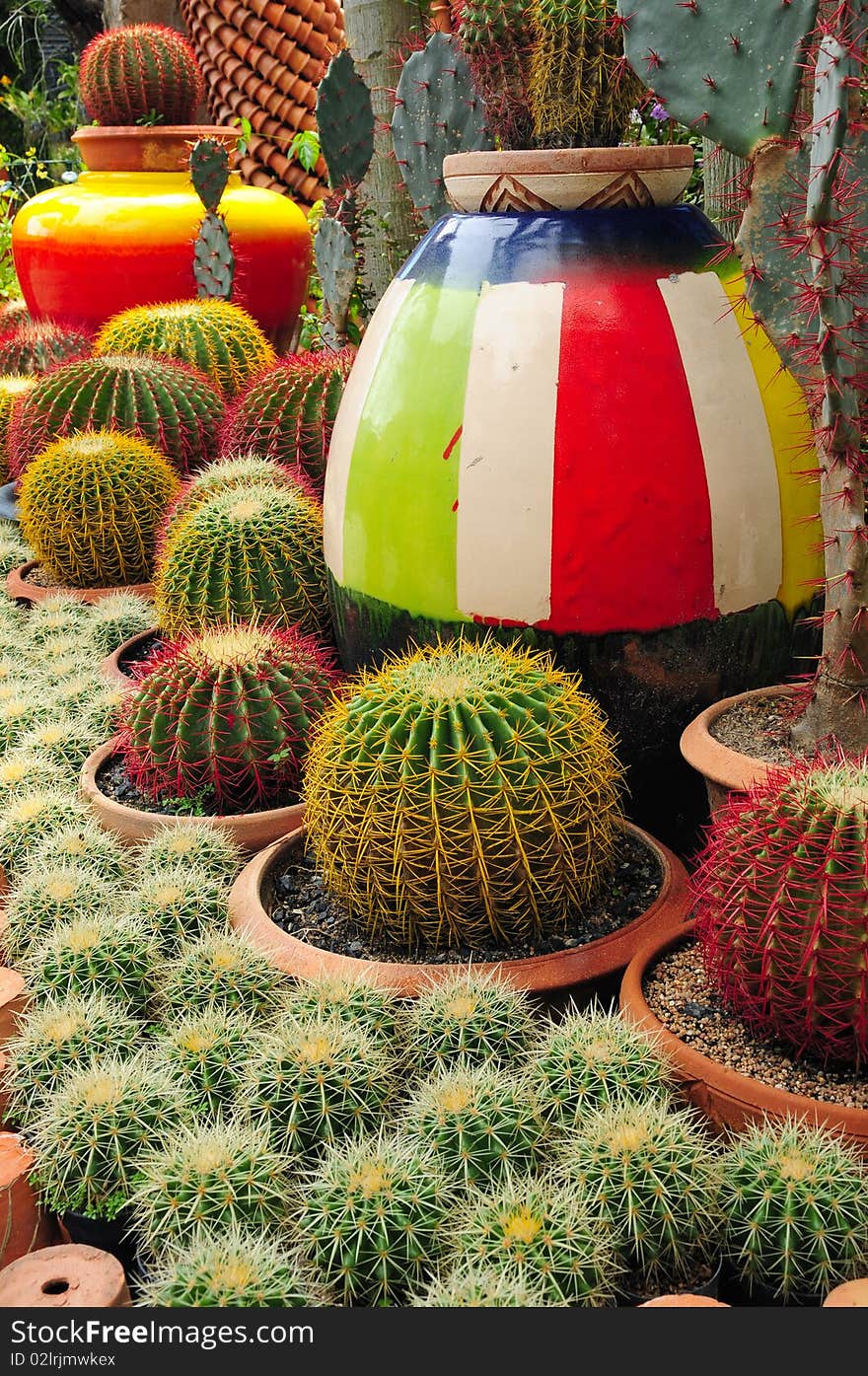 Colorful terracotta pottery between ball-shaped cactuses