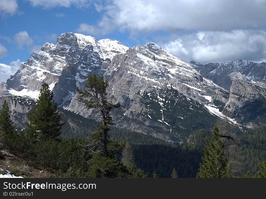 Dolomites and trees in northern Italy