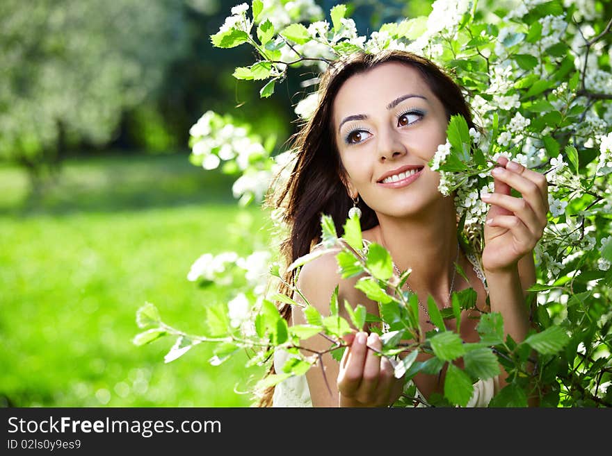 The nice young girl in blossoming trees. The nice young girl in blossoming trees