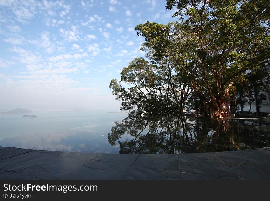 Sky, Tree, and Reflection of Both. Taken in Shatin, Hong Kong