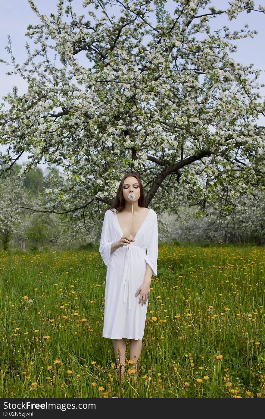 Young girl in white dress with dandelion near blooming apple tree