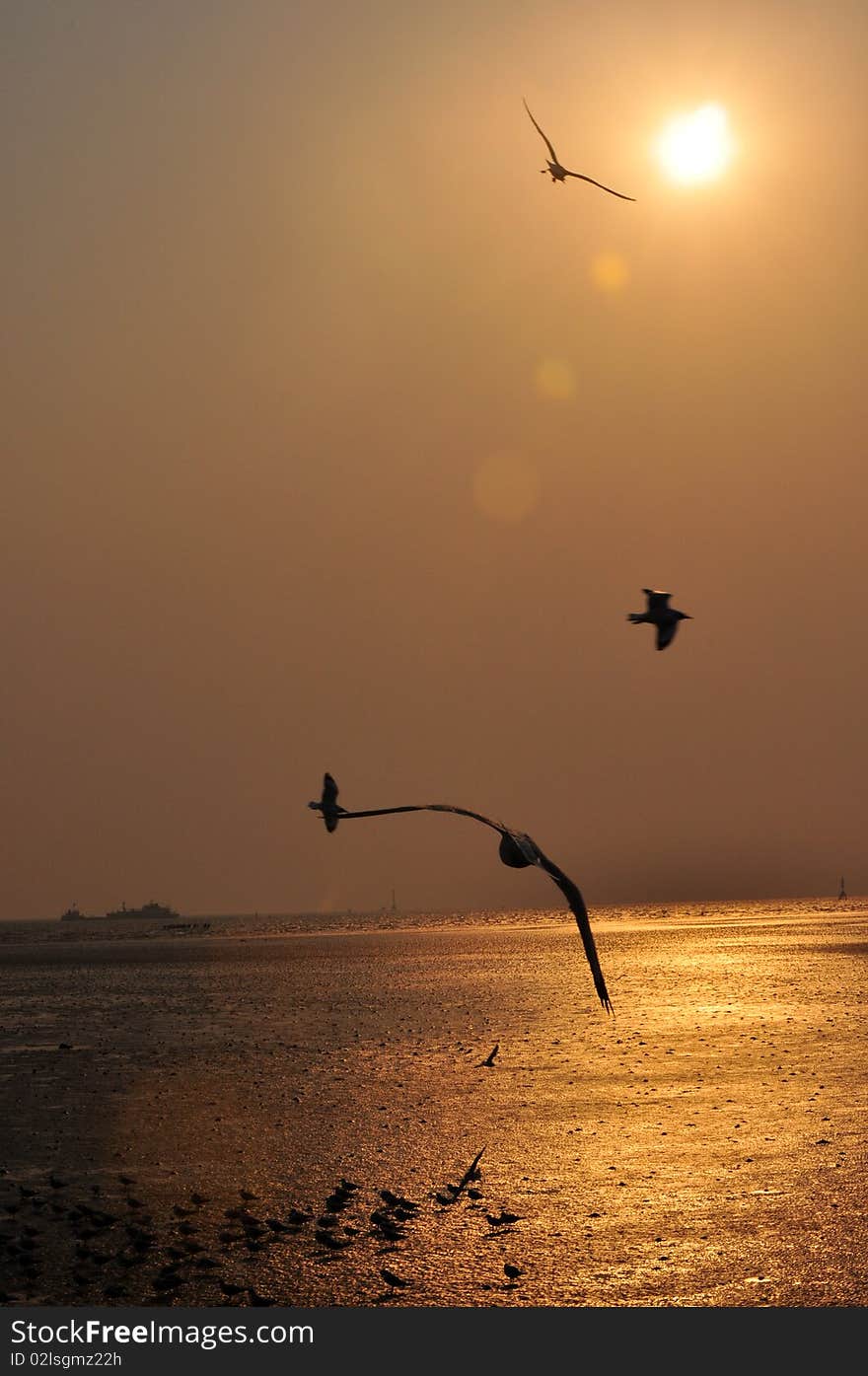 Evening at Bangpoo Samut Prakan in Thailand. Evening at Bangpoo Samut Prakan in Thailand.