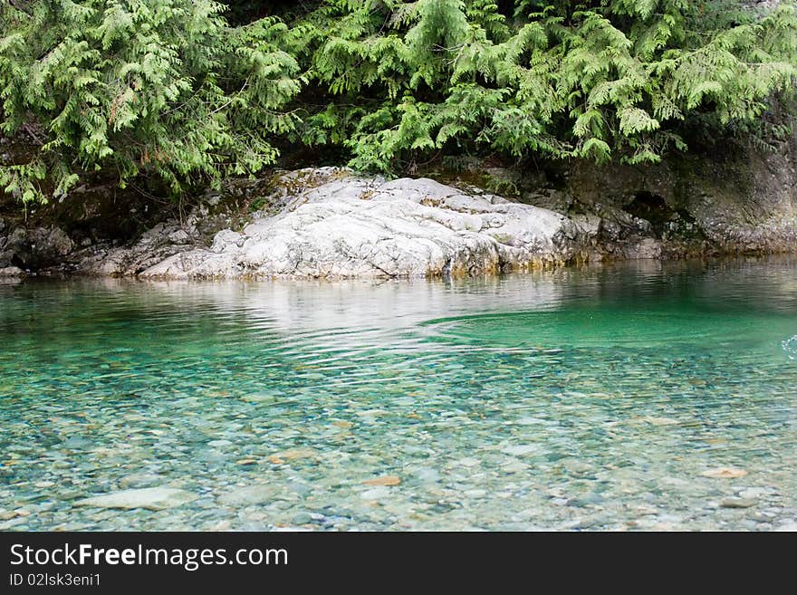 Peaceful backwater in the river.