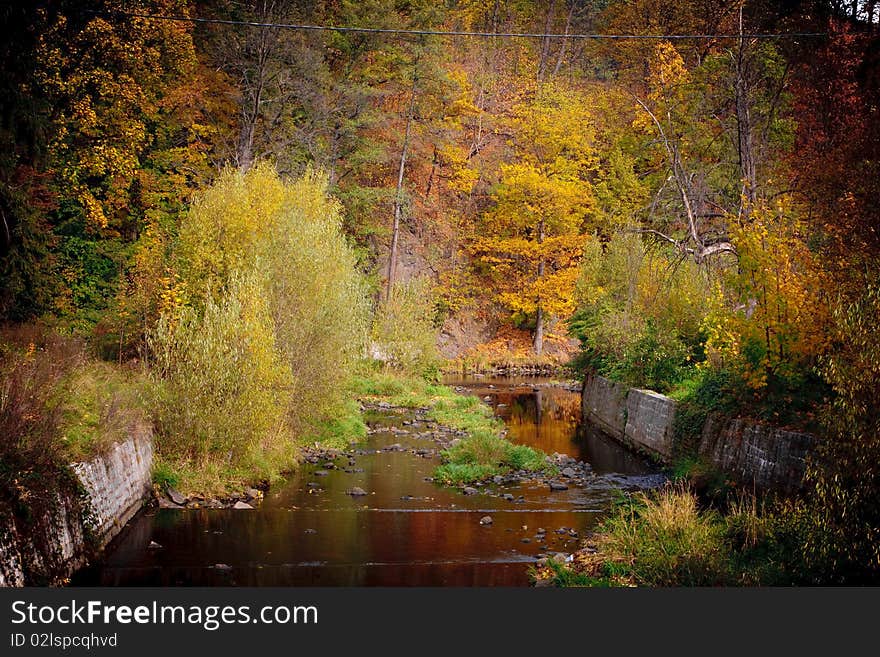 Foggy creek in fall time