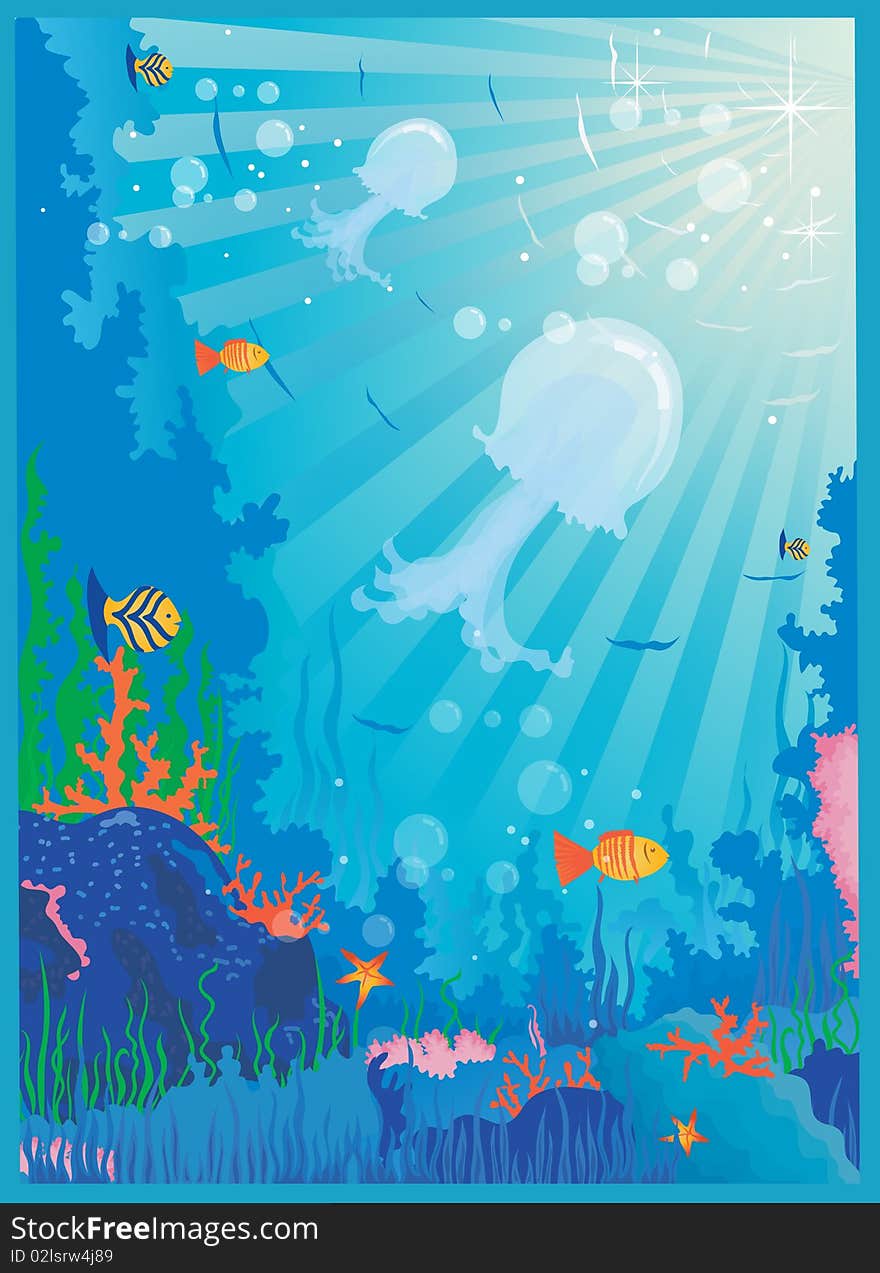 The underwater world of fish and plants. The underwater world of fish and plants