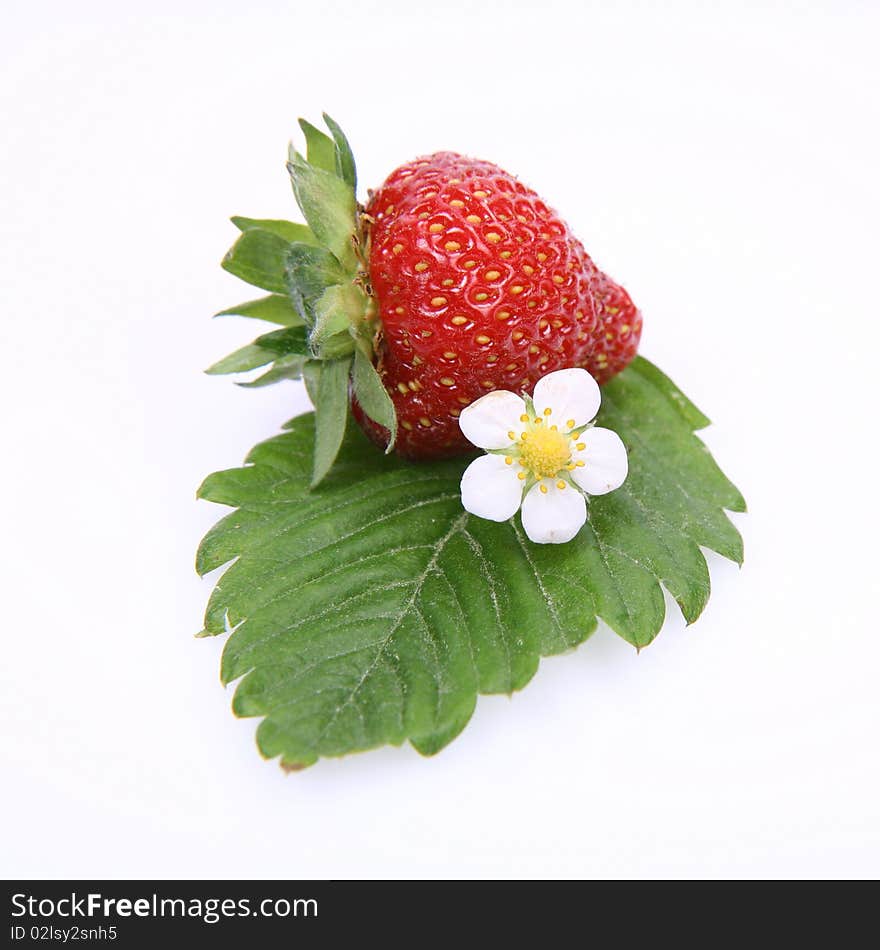 Strawberry on a leaf with a flower on white background