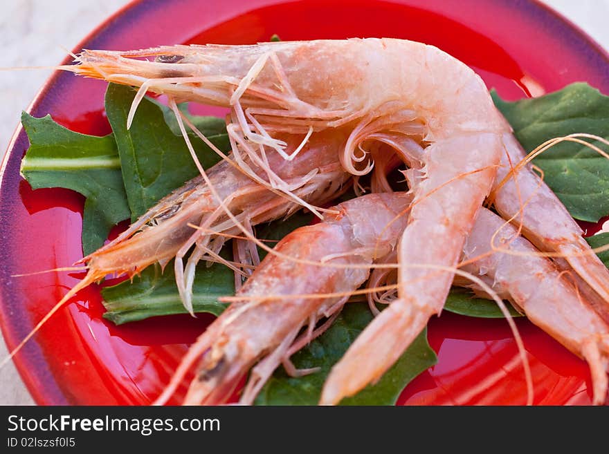 Shrimp on a red saucer