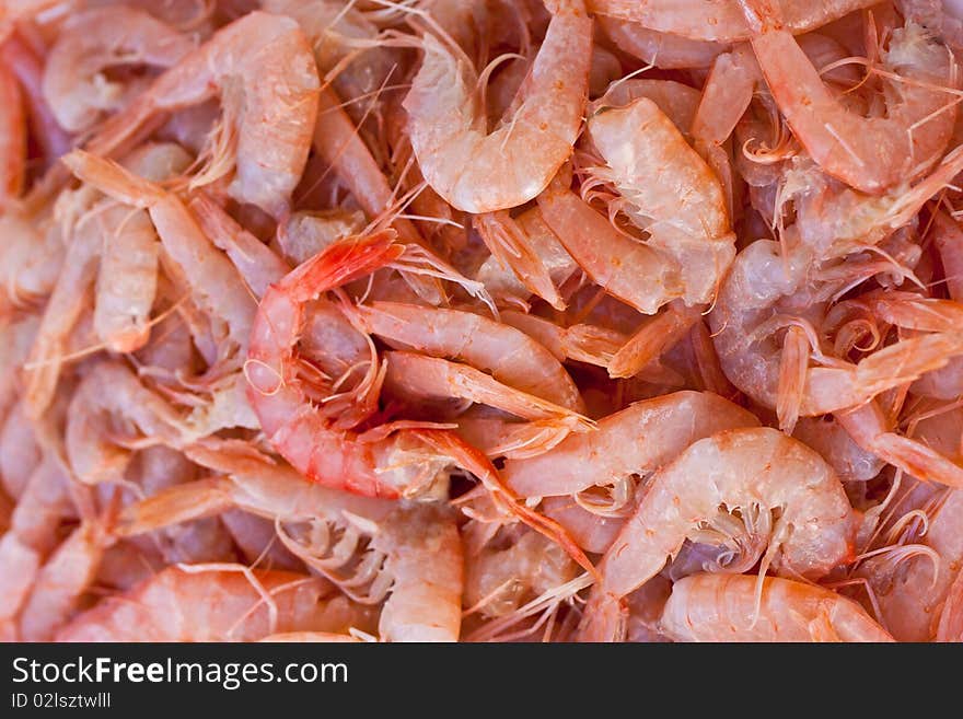 Close up of many shrimp. Close up of many shrimp