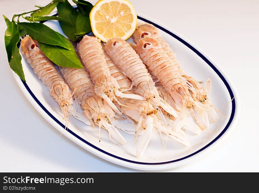 Squilla mantis a species of mantis shrimp on a dish with lemon