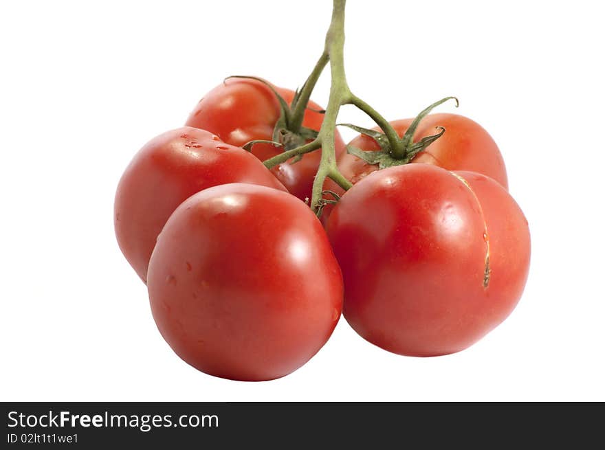 Five whole and red tomatos. Five whole and red tomatos