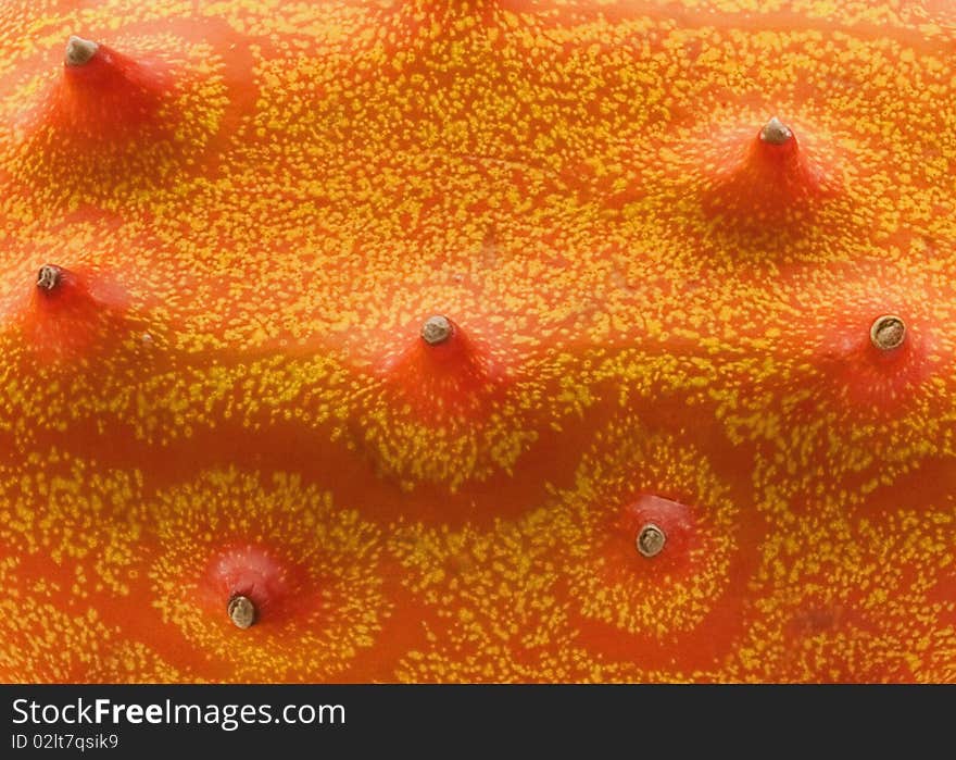 Close up of skin of horned melon, also known as Blowfish Fruit, looking like dormant volcanoes on orange landscape. Close up of skin of horned melon, also known as Blowfish Fruit, looking like dormant volcanoes on orange landscape.