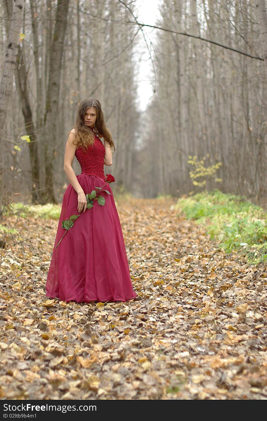 Female With Rose In The Forest