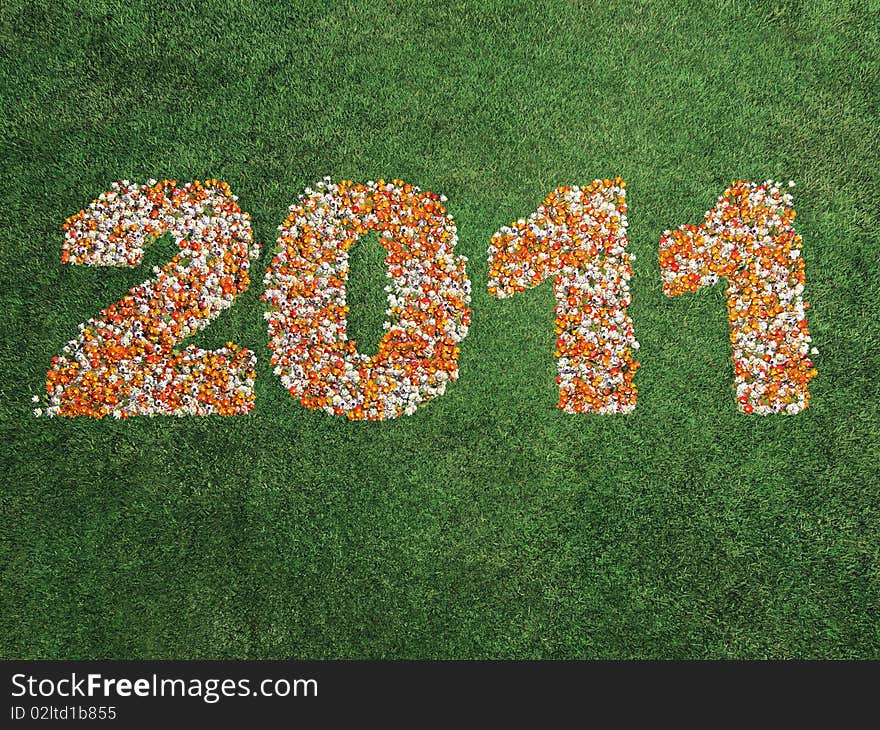 2011 In Flowers On Grass