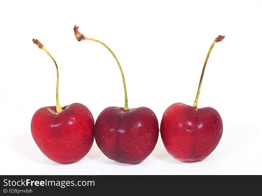 Red cherry on white background