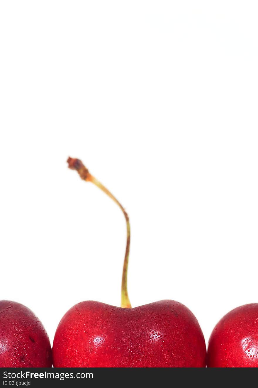 Red cherry on white background