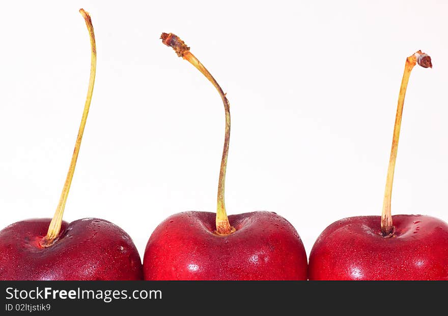 Red cherry on white background