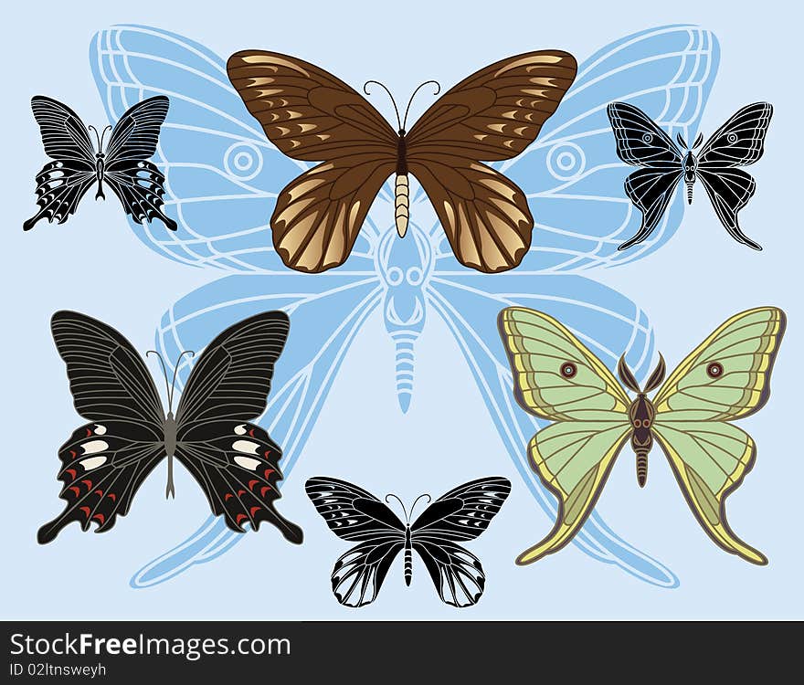 Set of colored butterflies and stencils for design