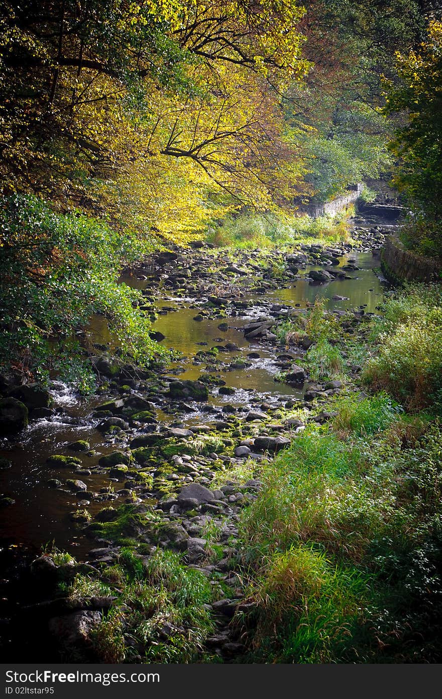 Foggy Creek