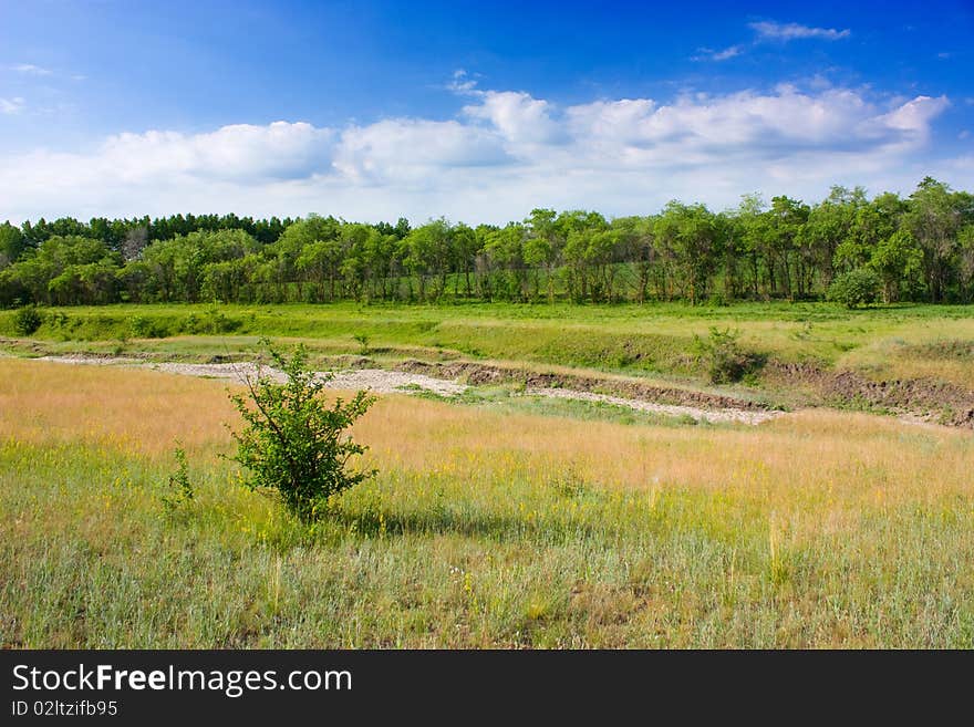 Summer landscape in contrasting colors