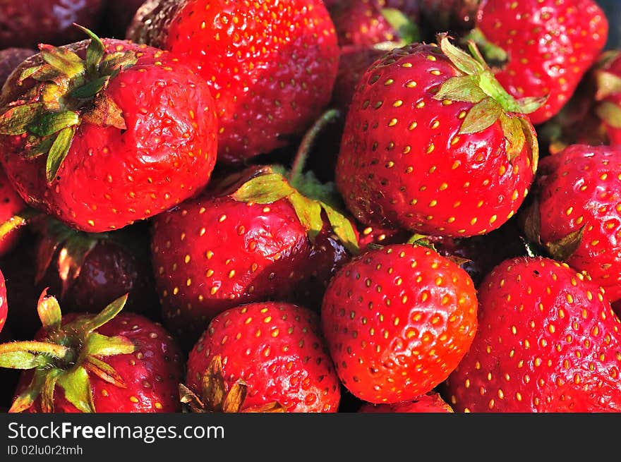 The photo shows a beautiful red juicy strawberries illuminated with sunlight.