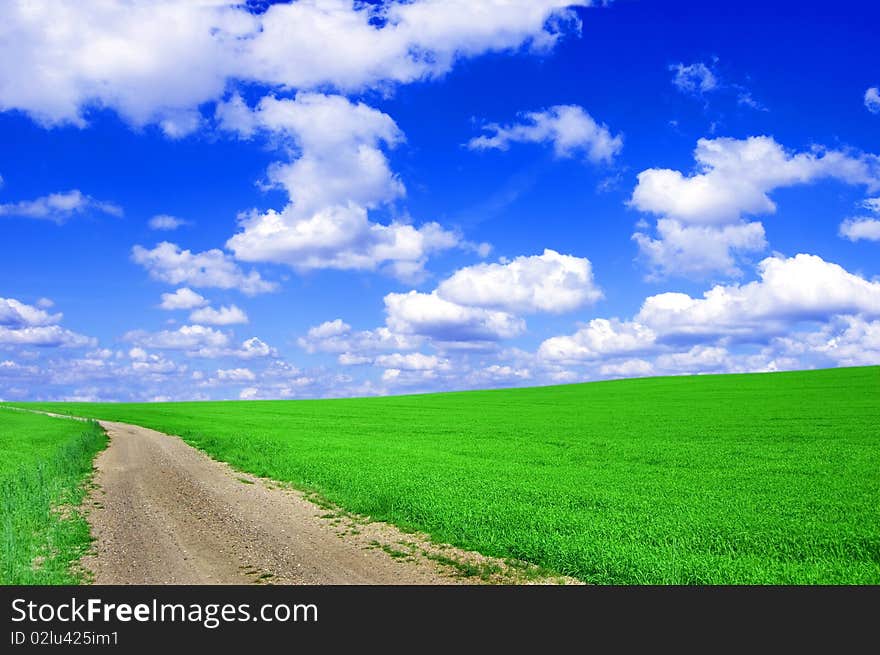 Green field with road and blue sky. Picture of green field and sky in summer.