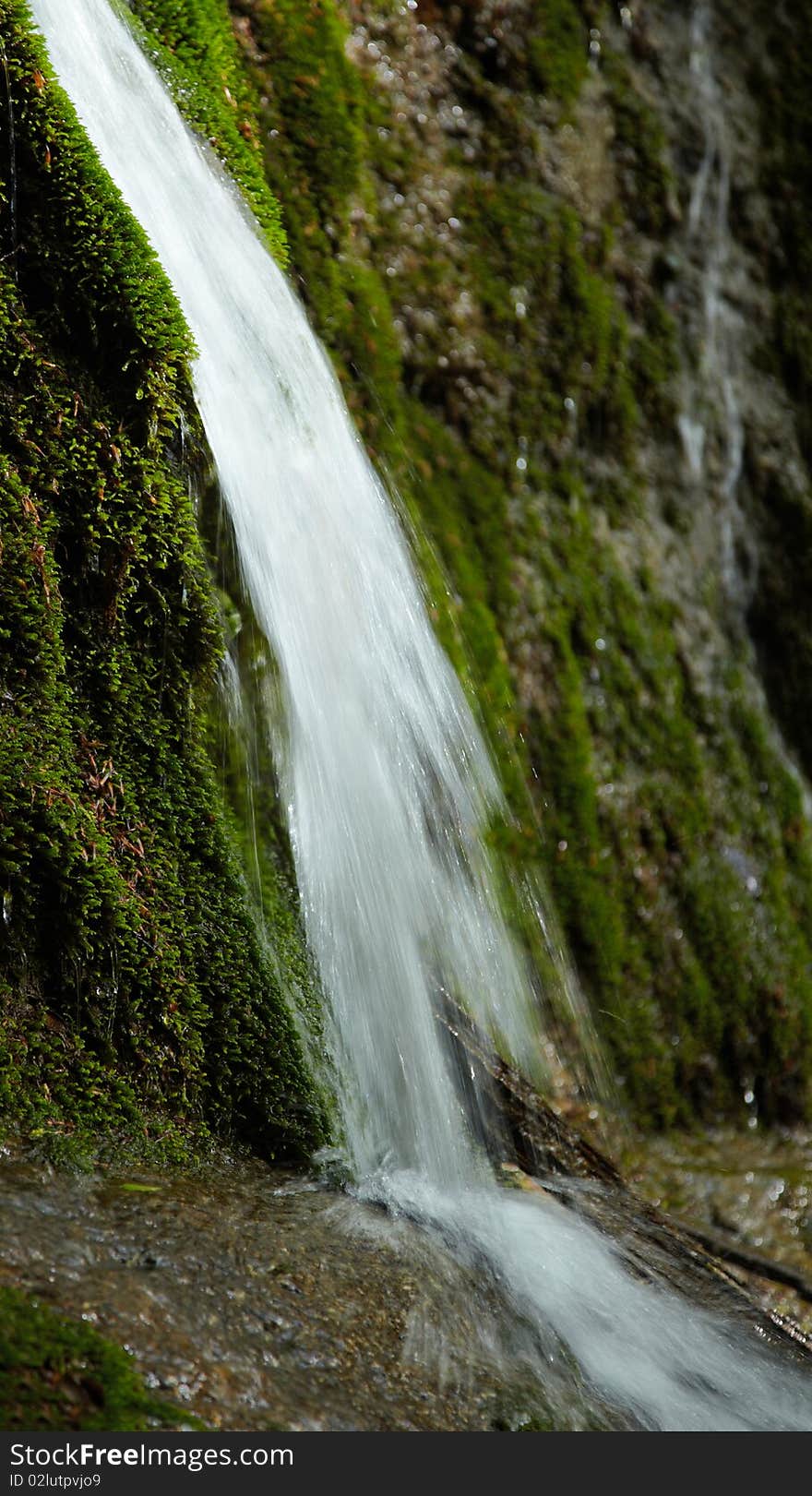 Waterfall and moss on the stones