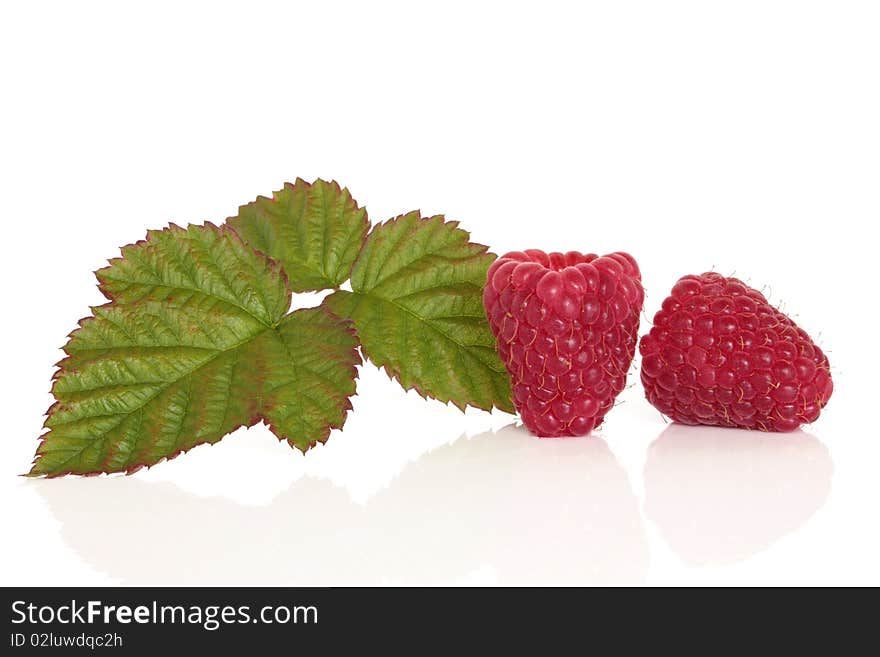 Raspberry fruit with leaf sprig isolated over white background.