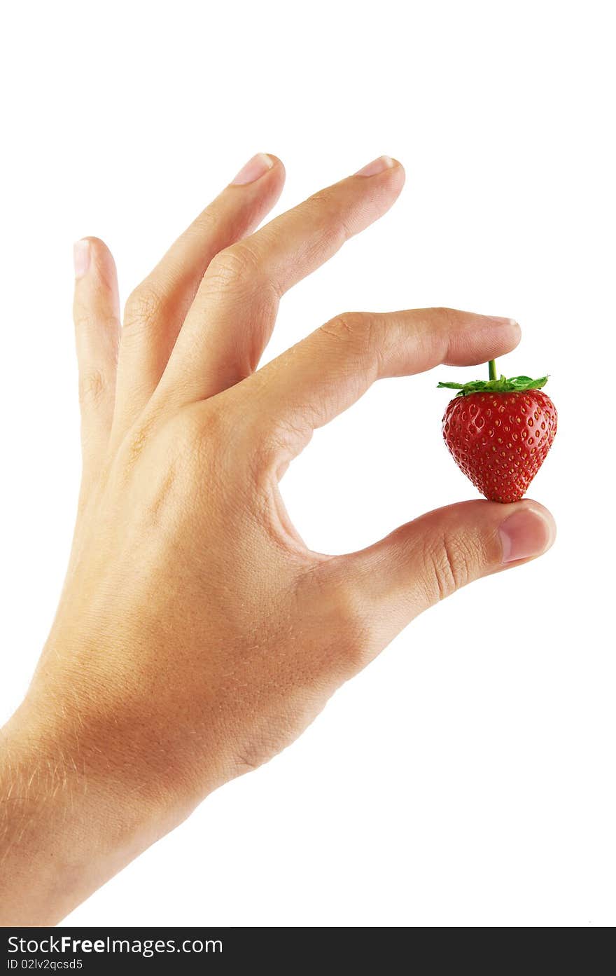 Fresh strawberry in a hand on a white background