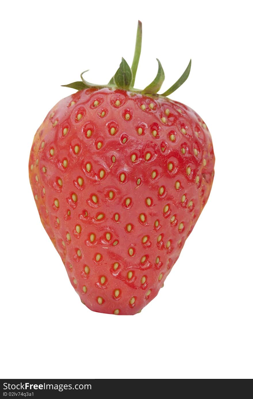 An isolated macro shot of a strawberry on a white background. An isolated macro shot of a strawberry on a white background