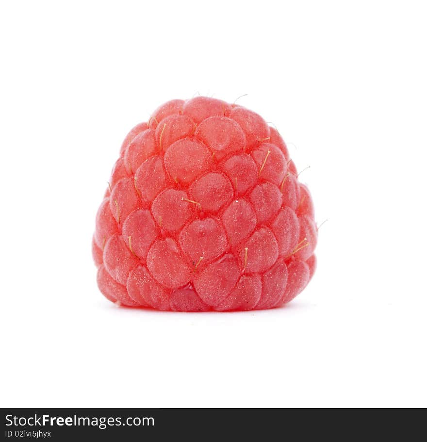 Raspberry On White