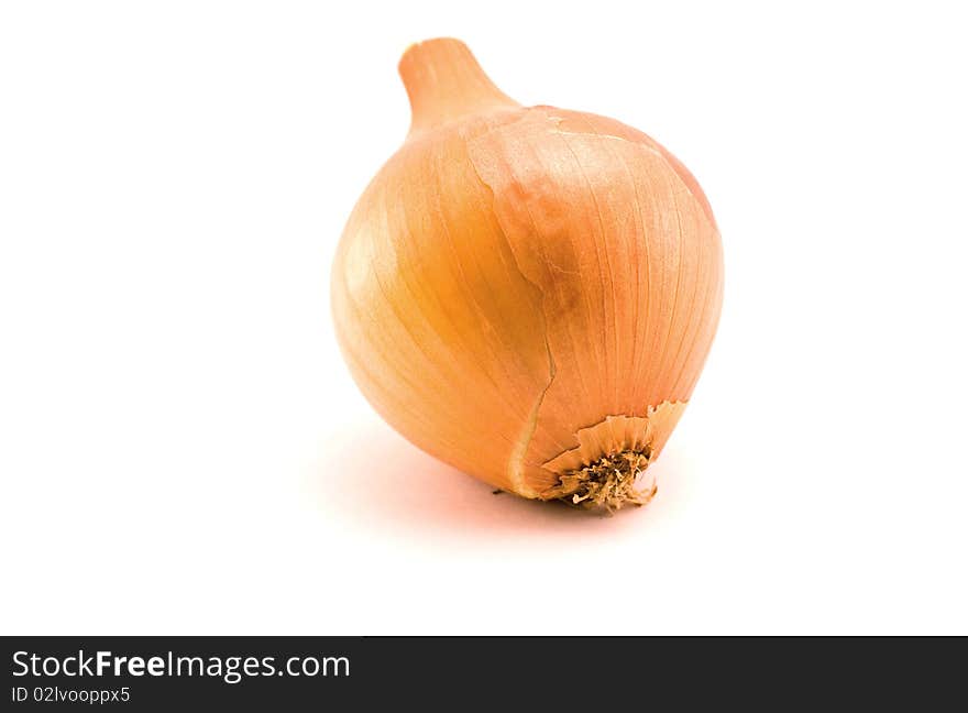 Onion