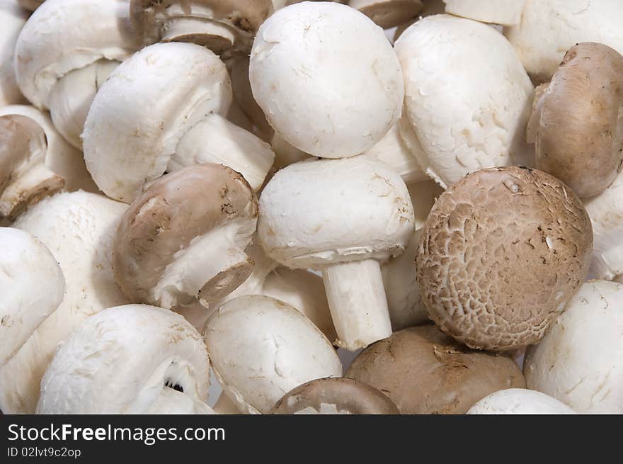 Pile of white and brown mushrooms