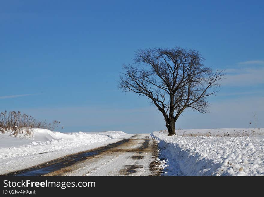 The roads were still and cold after a sudden Pennsylvania snow storm. The roads were still and cold after a sudden Pennsylvania snow storm.