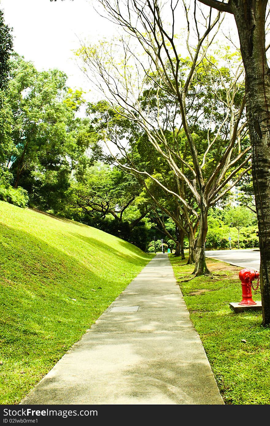 The walk way in the green  city. The walk way in the green  city