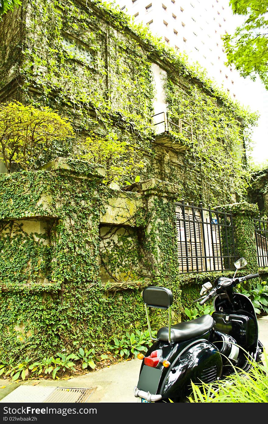 A vespa and plants wall