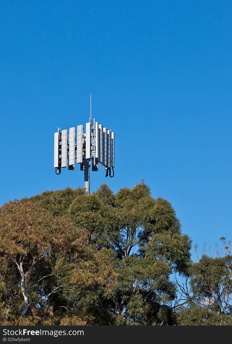 Communications Tower Above Trees