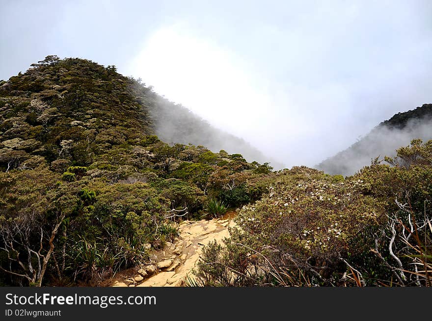 Mount Kota Kinabalu with beautiful view and trees