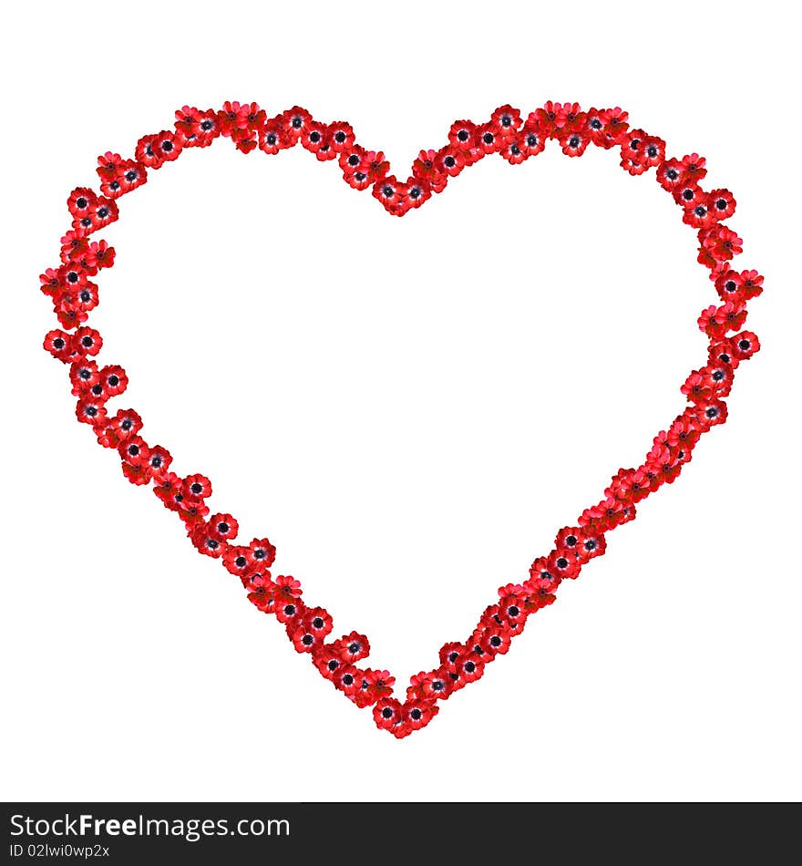 Floral heart - red flowers isolated on the white background