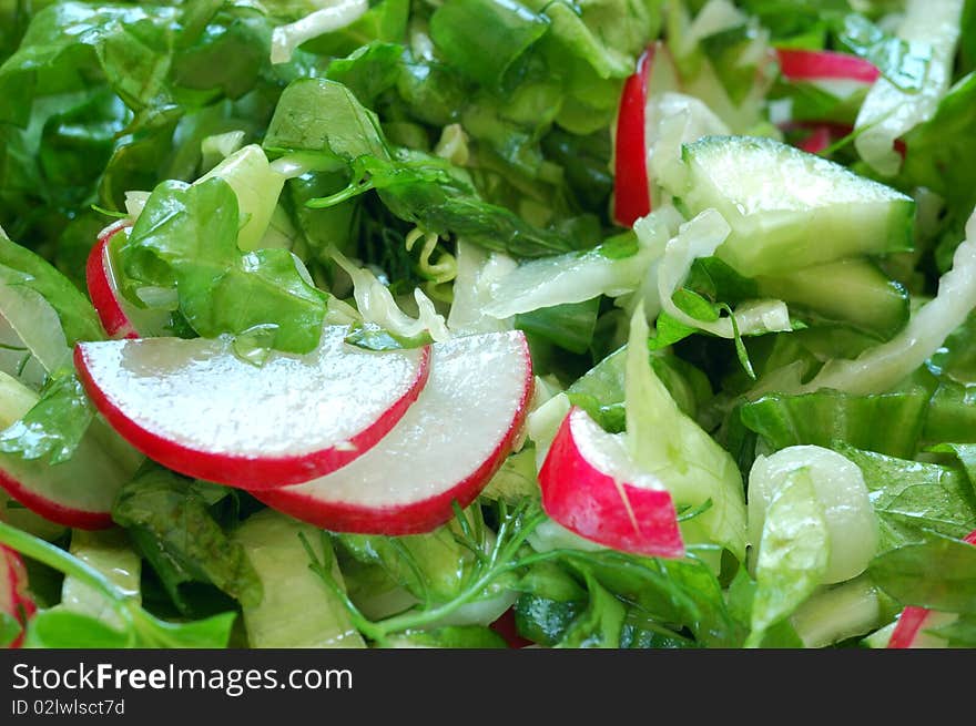 Salad with radish, cabbage and lettuce