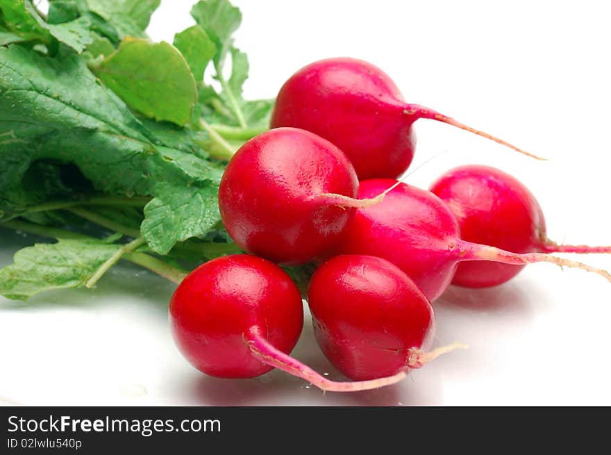 Fresh radishes on a white background