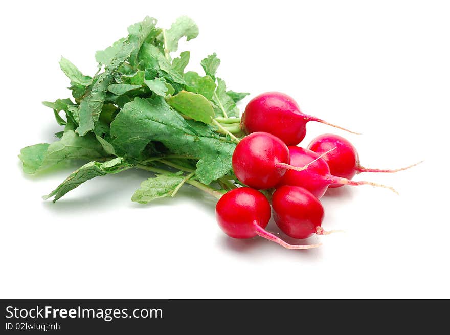 Fresh radishes on a white background