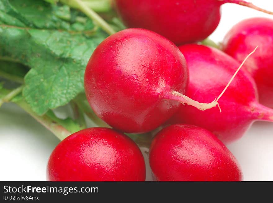 Fresh radishes on a white background