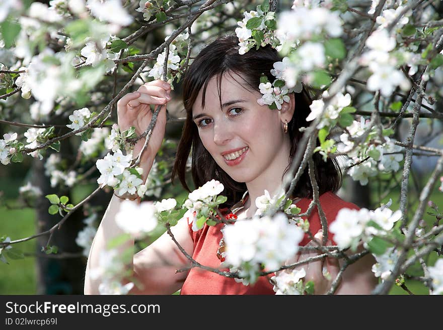 Girl in a red dress smiles peeping from the branches of apple blossoms. Girl in a red dress smiles peeping from the branches of apple blossoms