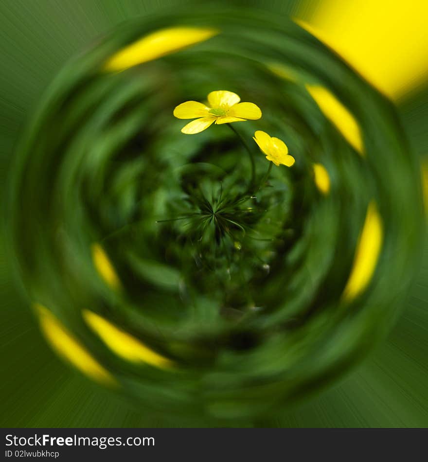 Green planet with yellow flower inside