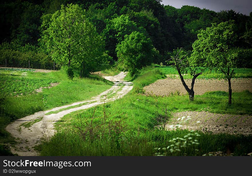 Landscape In Southern Poland