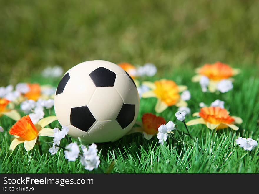 Soccer ball in a field with flowers