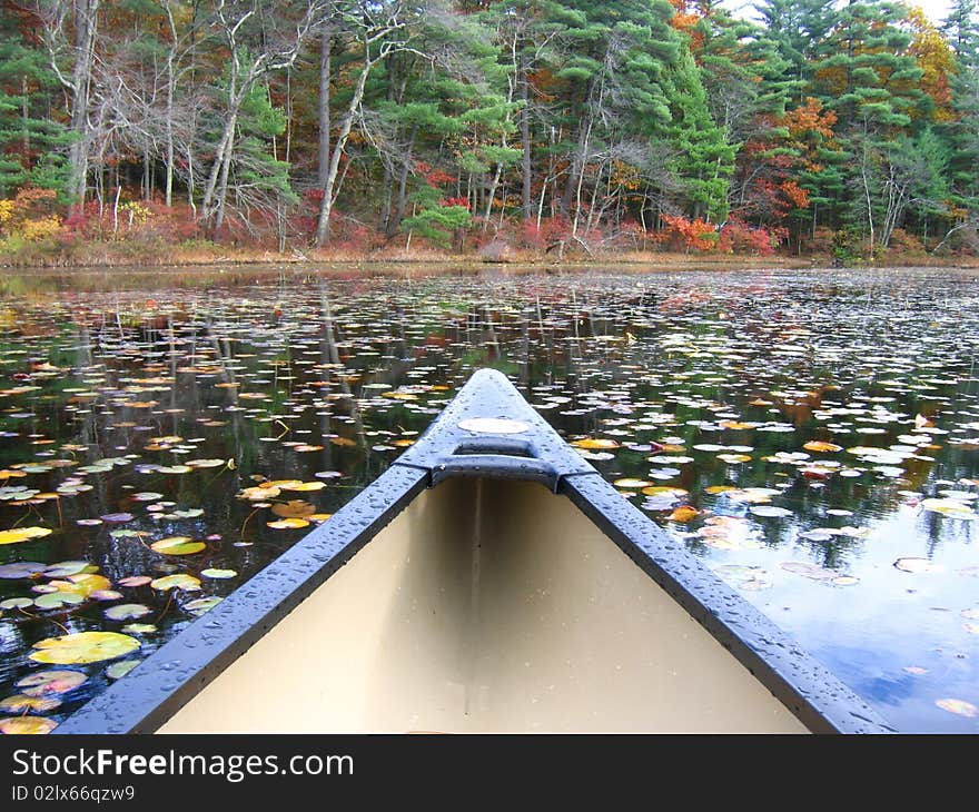 Bow of canoe heads towards distant autumn shore through scattered lilypads. Bow of canoe heads towards distant autumn shore through scattered lilypads.