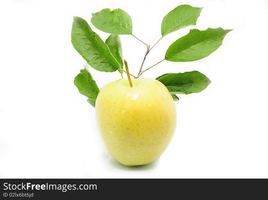 Yellow apple with a list of the background. Yellow apple with a list of the background