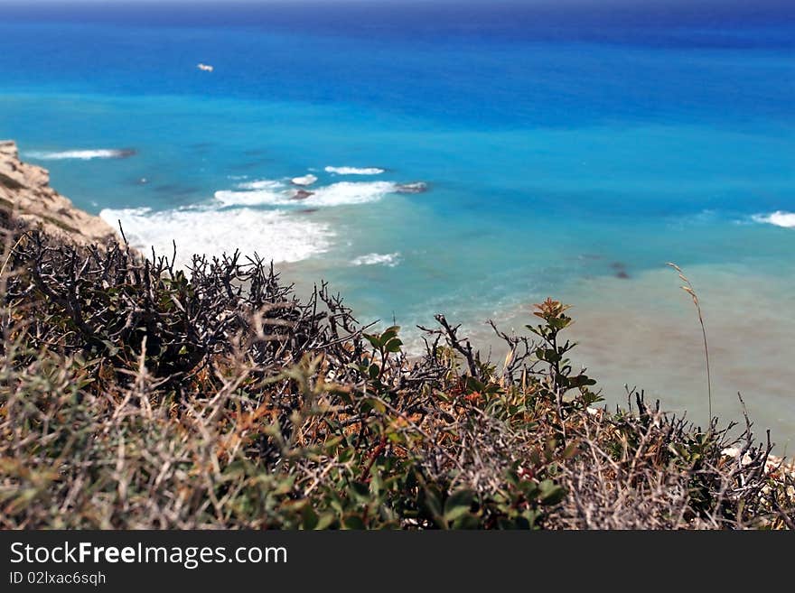 Grass on cliff.