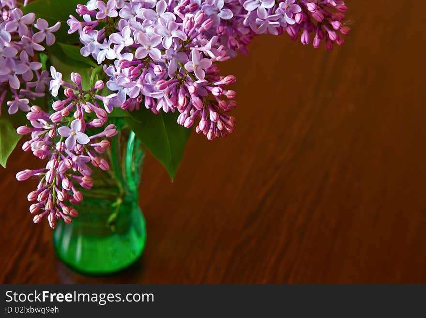 Lilac In Vase